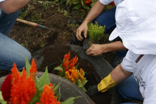 La fuerza voluntaria del siglo XXI