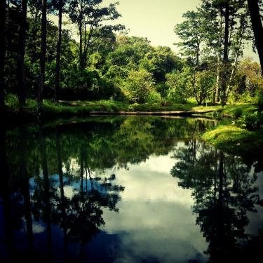 Voluntariado: la palanca de la sostenibilidad