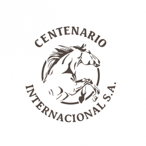 Centenario Internacional