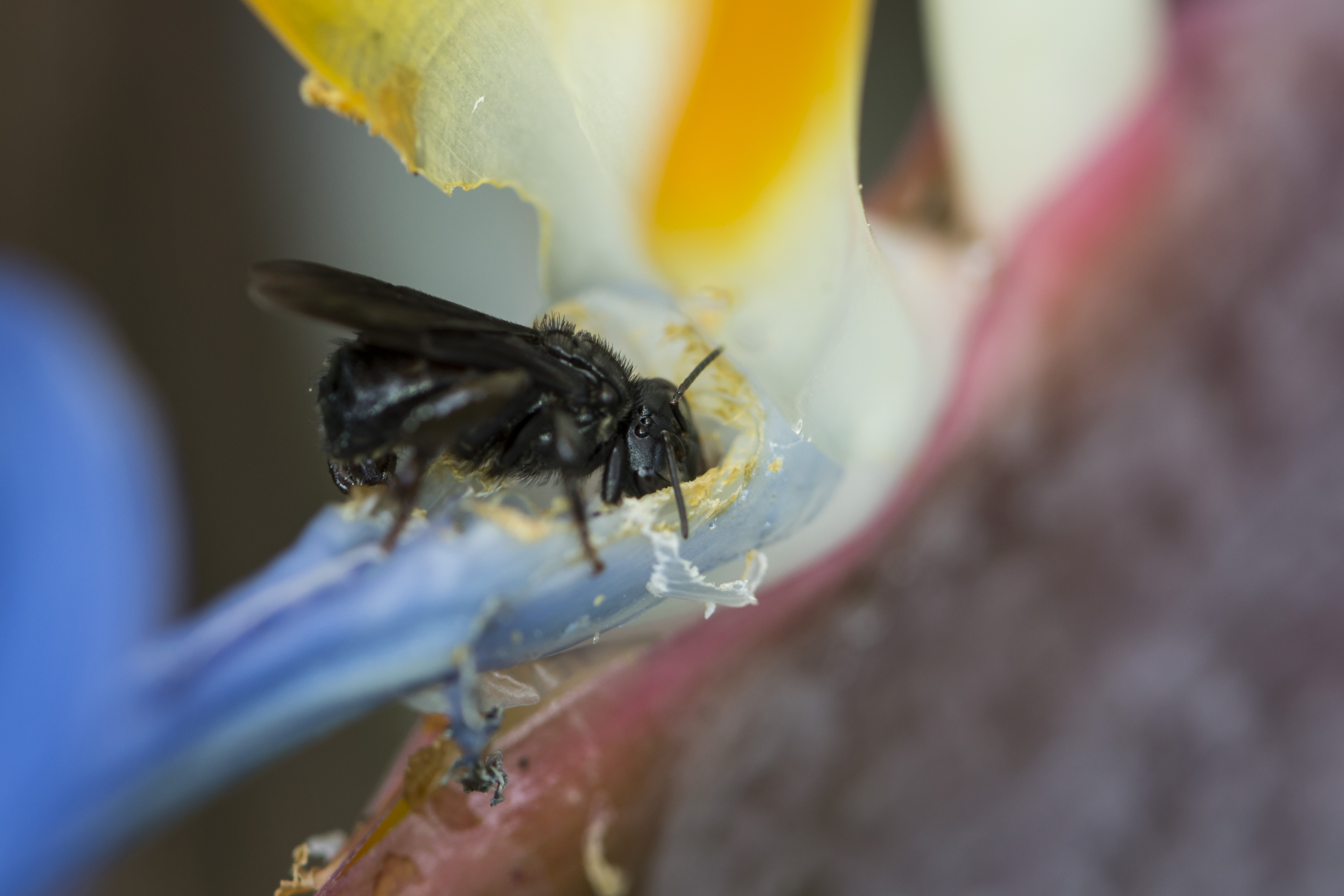 Foto Accion Ambiental