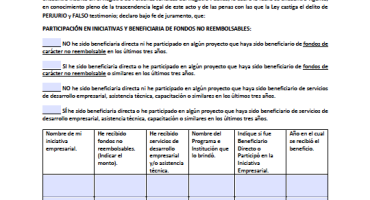 Declaración Jurada Persona Jurídica - Mujeres crecen
