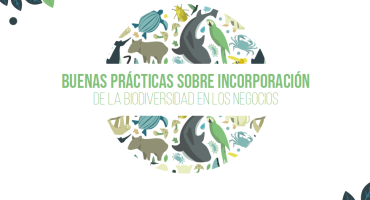 Buenas prácticas sobre incorporación de la biodiversidad en los negocios
