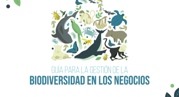 Guía para la Gestión de la Biodiversidad en los Negocios