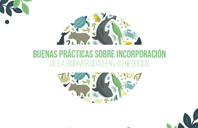 Buenas prácticas sobre incorporación de la biodiversidad en los negocios