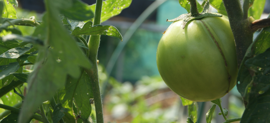 Plan Nacional de Desarrollo alineado a los ODS