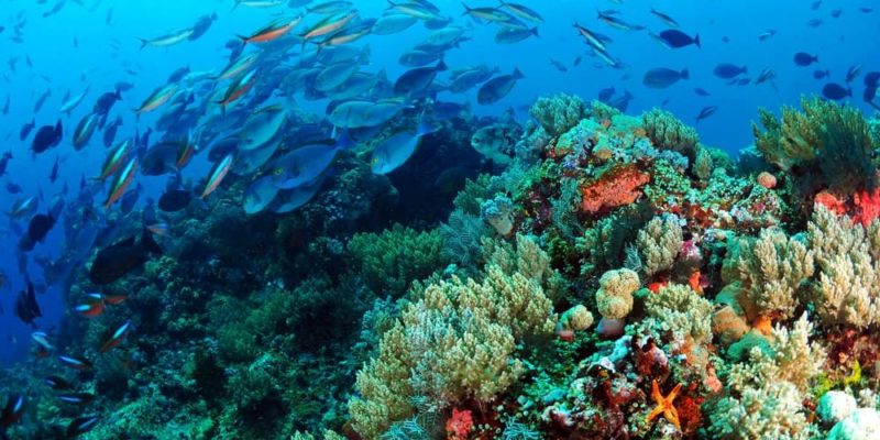 AED busca consultoría en incorporación de la biodiversidad en la gestión empresarial