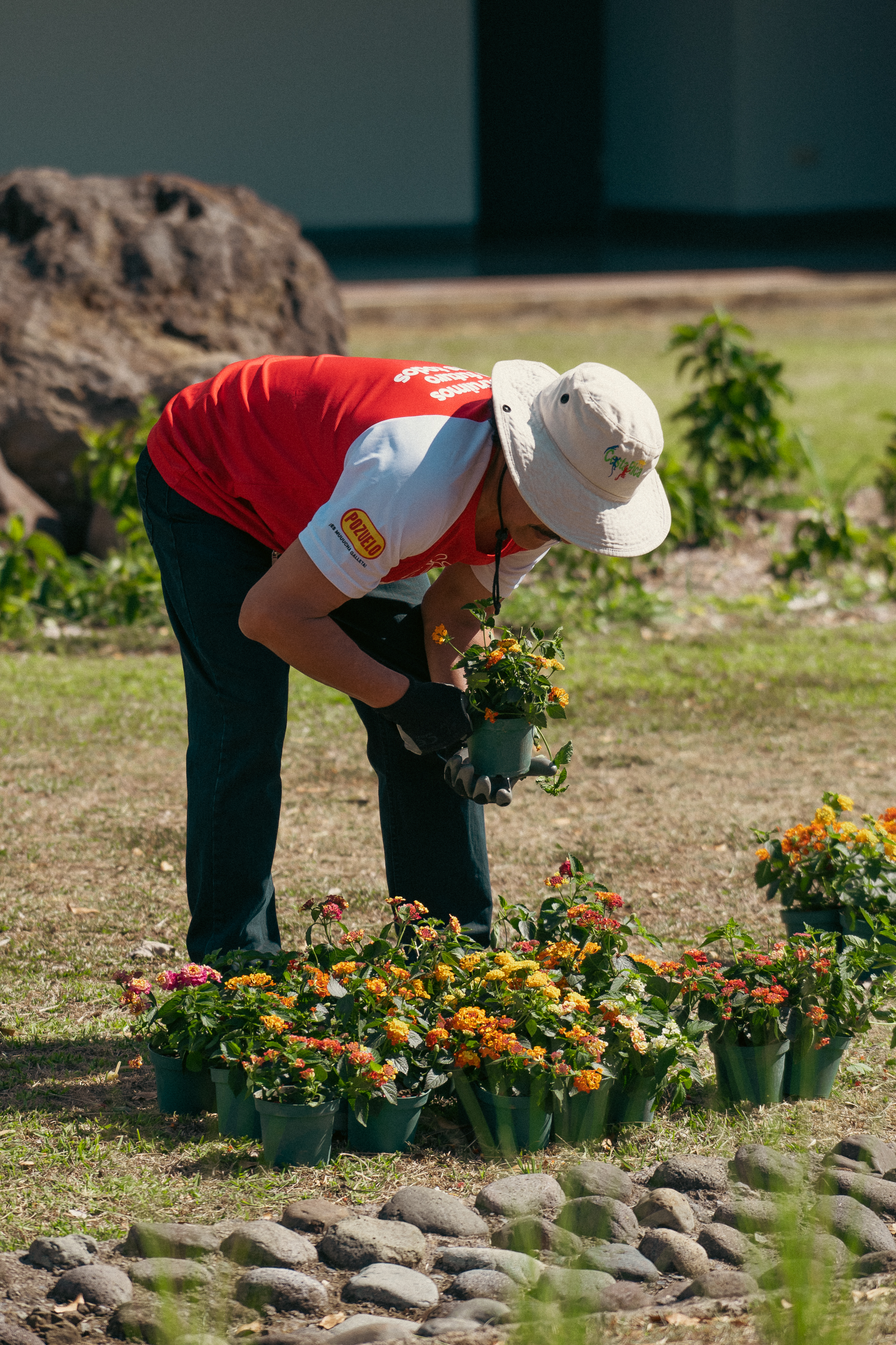 Voluntariado Parque La Libertad