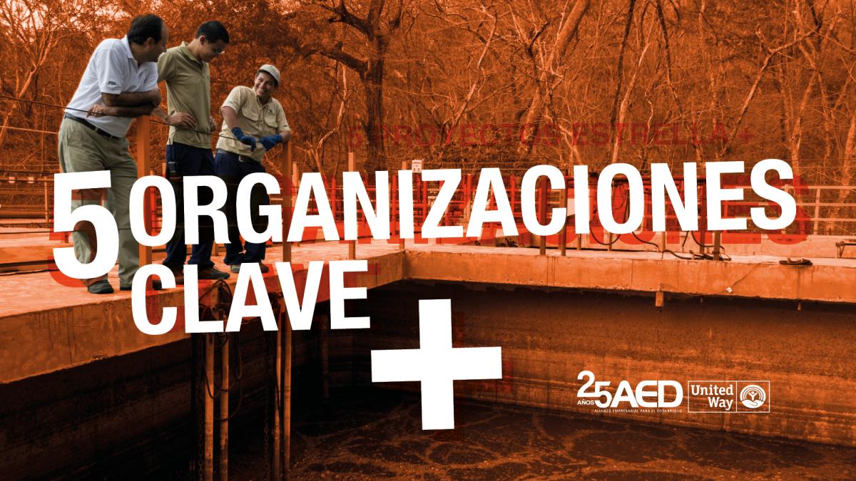 Organizaciones clave