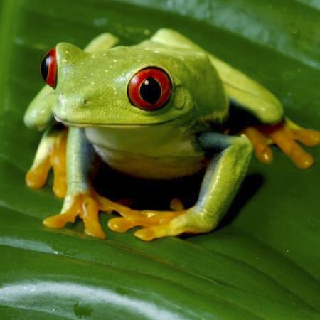 Biodiversidad y Negocios