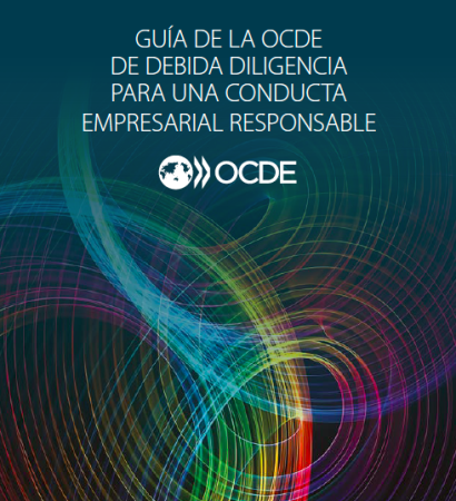 GUÍA DE LA OCDE DE DEBIDA DILIGENCIA PARA UNA CONDUCTA EMPRESARIAL RESPONSABLE