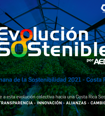 Brief - Evolución Sostenible 2021