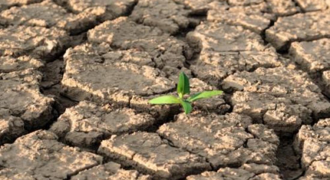 ¿Estamos preparados para los impactos del cambio climático?