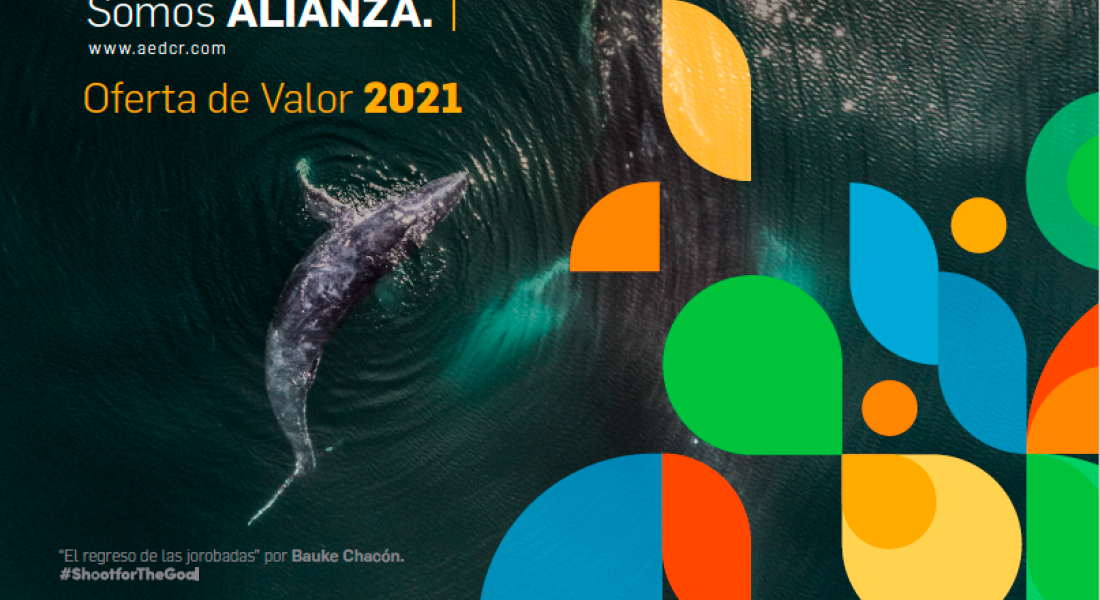 AED presentó su Oferta de Valor 2021 alineada a los principales desafíos globales de sostenibilidad