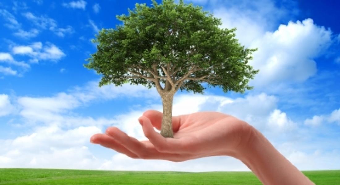 Alianza facilitará a empresas ser Carbono Neutral Plus y apoyar proyectos costarricenses de energía limpia