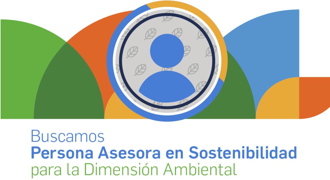 AED busca Persona Asesora en Sostenibilidad para su Dimensión Ambiental