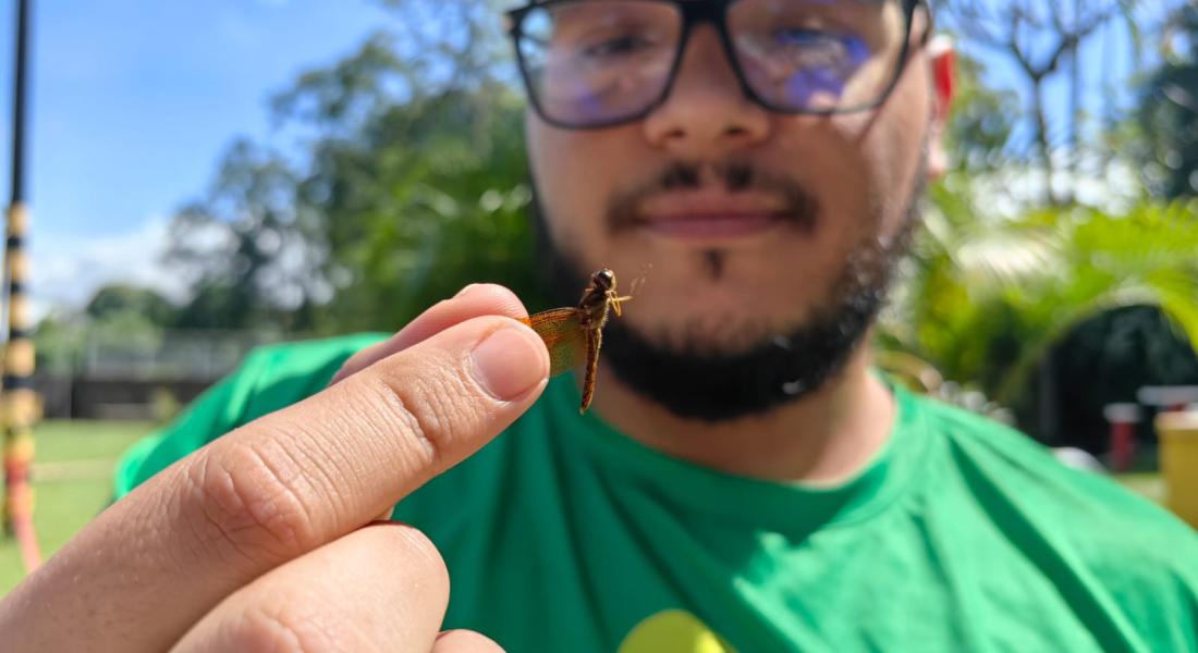Francisco Ramírez, especialista en insectos