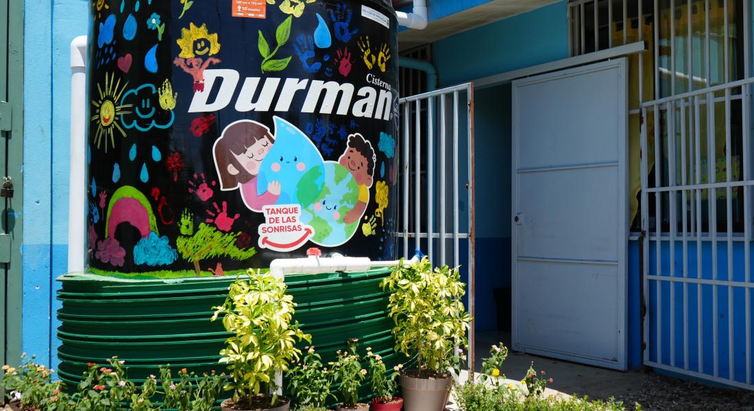Durman foto