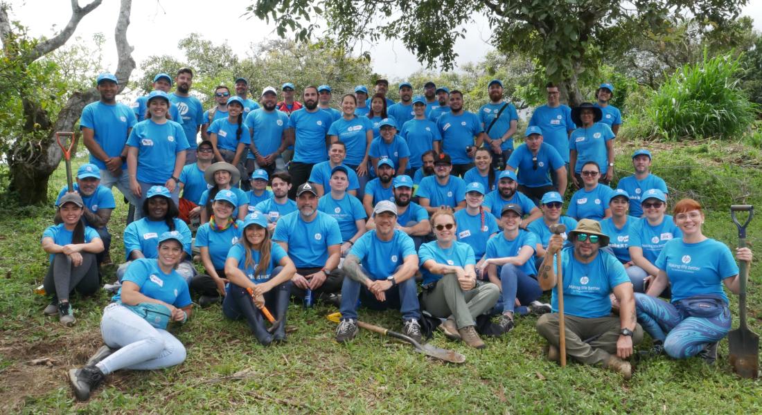 Voluntarios HP