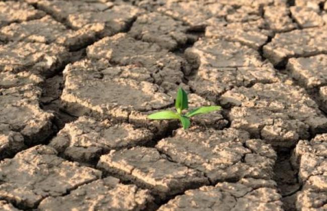 ¿Estamos preparados para los impactos del cambio climático?