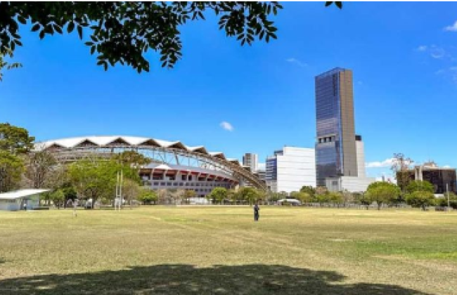 Vista desde el Parque Metropolinano La Sabana al Estadio Nacional. Es un campo verde de zacate, con un cielo azul despejado, la foto esta enmarcada por la rama de un árbol y a lo lejos se ve el Estadio Nacional y algunos edificios  