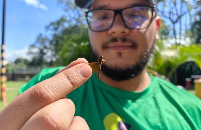Francisco Ramírez, especialista en insectos