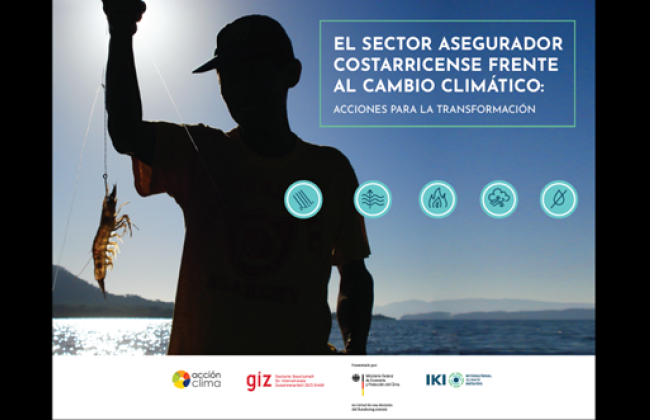 Portada Sector asegurador frente al cambio climático