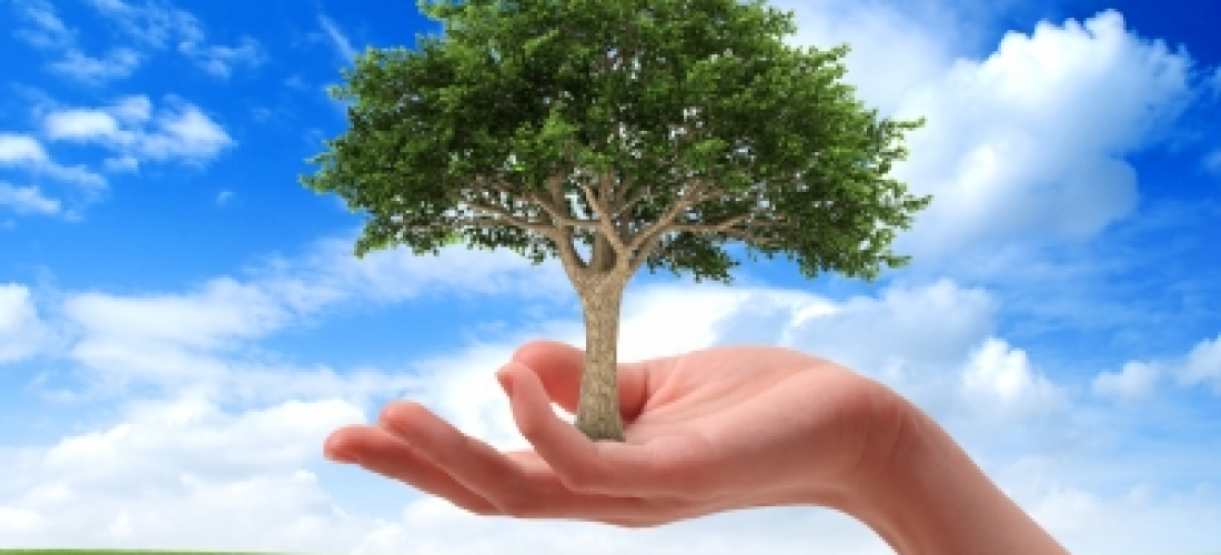 Alianza facilitará a empresas ser Carbono Neutral Plus y apoyar proyectos costarricenses de energía limpia