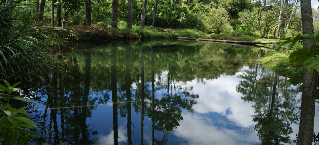 ODS13: Reducir emisiones y adaptarse a un clima que no perdona