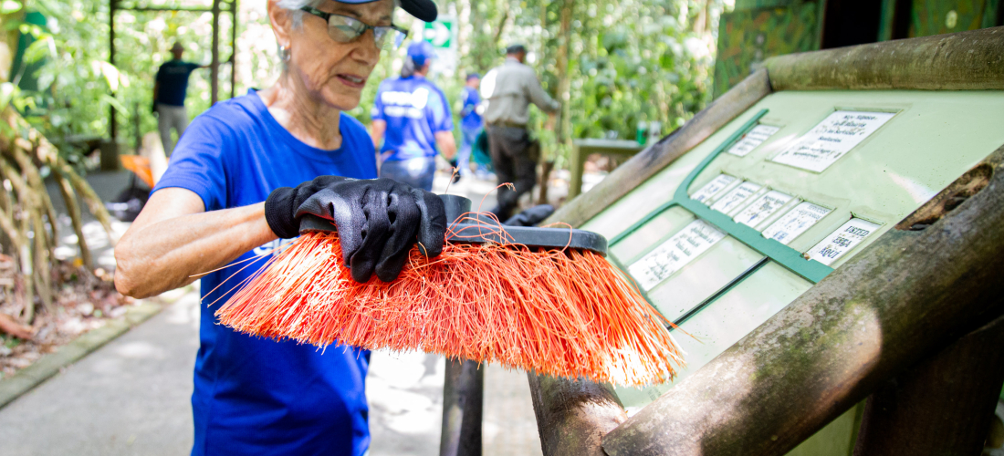 Una mujer delgada, de cabello corto y gris, utiliza un cepillo para limpiar un rótulo con información para visitantes en un parque nacional. Ella viste una camiseta azul, una gorra también azul y guantes de látex.