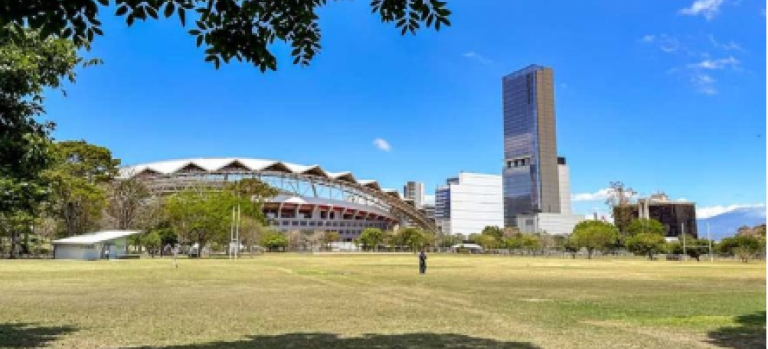 Vista desde el Parque Metropolinano La Sabana al Estadio Nacional. Es un campo verde de zacate, con un cielo azul despejado, la foto esta enmarcada por la rama de un árbol y a lo lejos se ve el Estadio Nacional y algunos edificios  