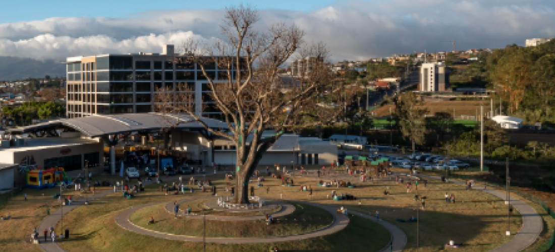 Vista aérea de un parque circular con un gran árbol en el centro, rodeado por un camino pavimentado en forma de anillo. A su alrededor, varias personas disfrutan del espacio al aire libre, descansando sobre el césped y paseando. Al fondo, se observa un edificio moderno y montañas con algunas nubes bajas, que completan el paisaje urbano y natural del área.