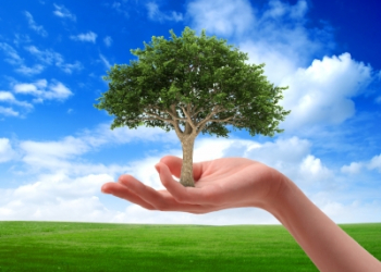 Alianza facilitará a empresas ser Carbono Neutral Plus y apoyar proyectos costarricenses de energía limpia