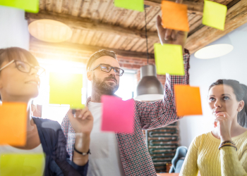 AED busca persona Asesora en Sostenibilidad