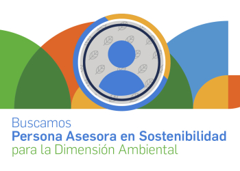 AED busca Persona Asesora en Sostenibilidad para su Dimensión Ambiental