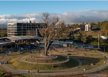 Vista aérea de un parque circular con un gran árbol en el centro, rodeado por un camino pavimentado en forma de anillo. A su alrededor, varias personas disfrutan del espacio al aire libre, descansando sobre el césped y paseando. Al fondo, se observa un edificio moderno y montañas con algunas nubes bajas, que completan el paisaje urbano y natural del área.