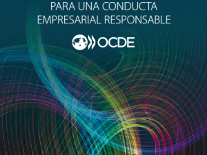GUÍA DE LA OCDE DE DEBIDA DILIGENCIA PARA UNA CONDUCTA EMPRESARIAL RESPONSABLE