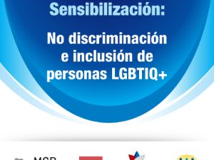 Estrategia Nacional de Capacitación y Sensibilización: No discriminación e inclusión de personas LGBTIQ+ 