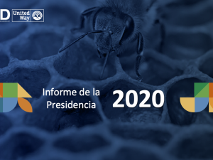 Presentación Asamblea Ordinaria y Extraordinaria Asociados AED 2020