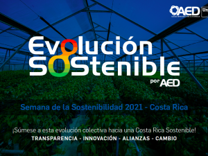 Brief - Evolución Sostenible 2021