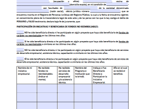 Declaración Jurada Persona Jurídica - Mujeres crecen
