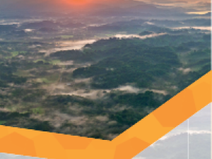 Memoria de Sostenibilidad 2014