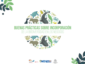 Buenas prácticas sobre incorporación de la biodiversidad en los negocios