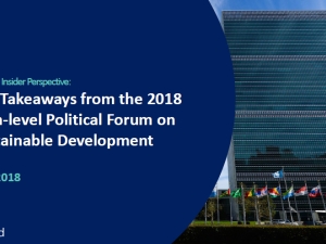 WBCSD Insider Perspective: Key takeaways from the 2018 High Level Political Forum on Sustanaible Development ()