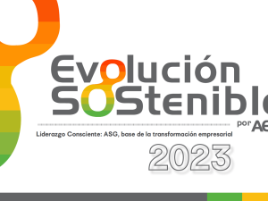 Portada Brief Evolución