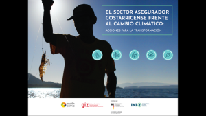 Portada Sector asegurador frente al cambio climático